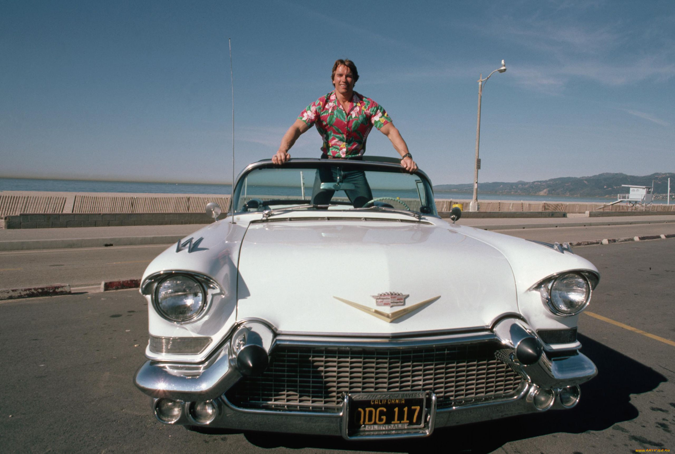 arnold, schwarzenegger, , cadillac, convert